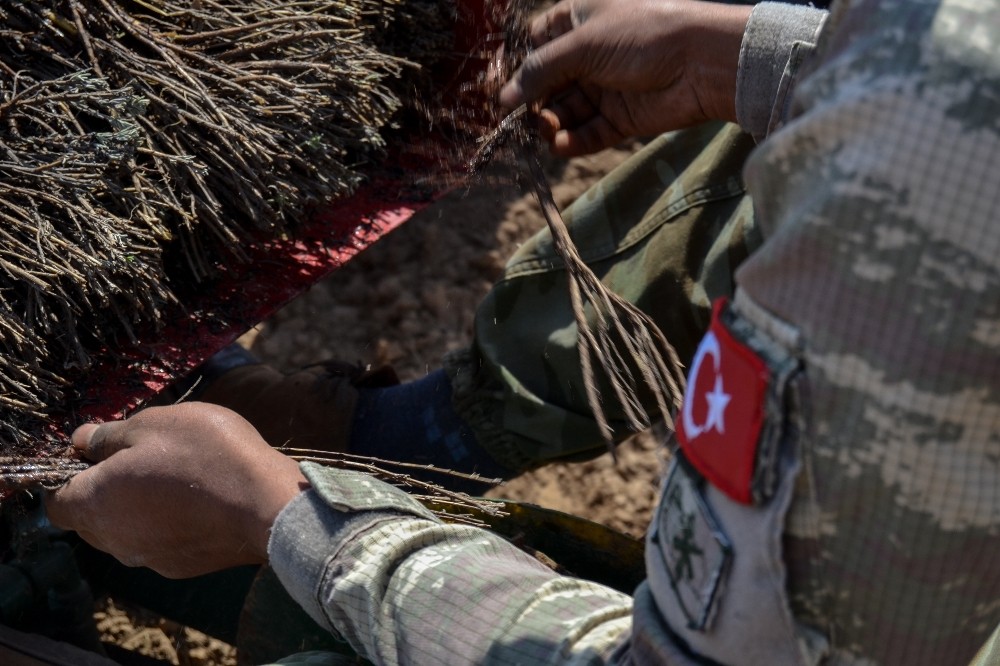 Edirne’de Lavanta ekimi yapıldı 