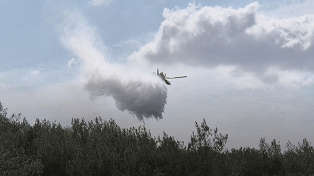 Edirne'de orman yangını! Havadan ve karadan müdahale ediliyor