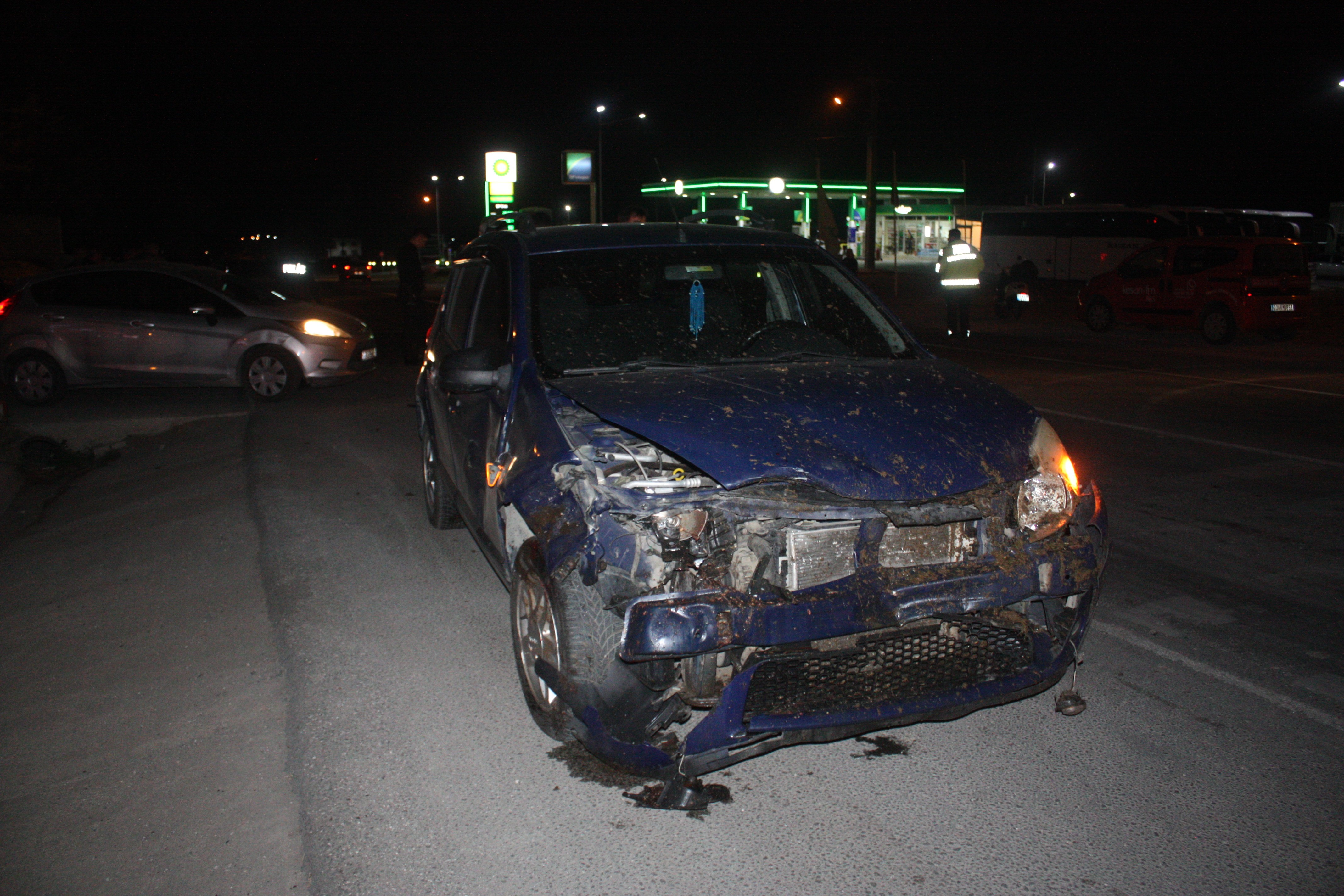 Edirne'de otomobilin çarptığı sürüdeki 7 koyun telef oldu