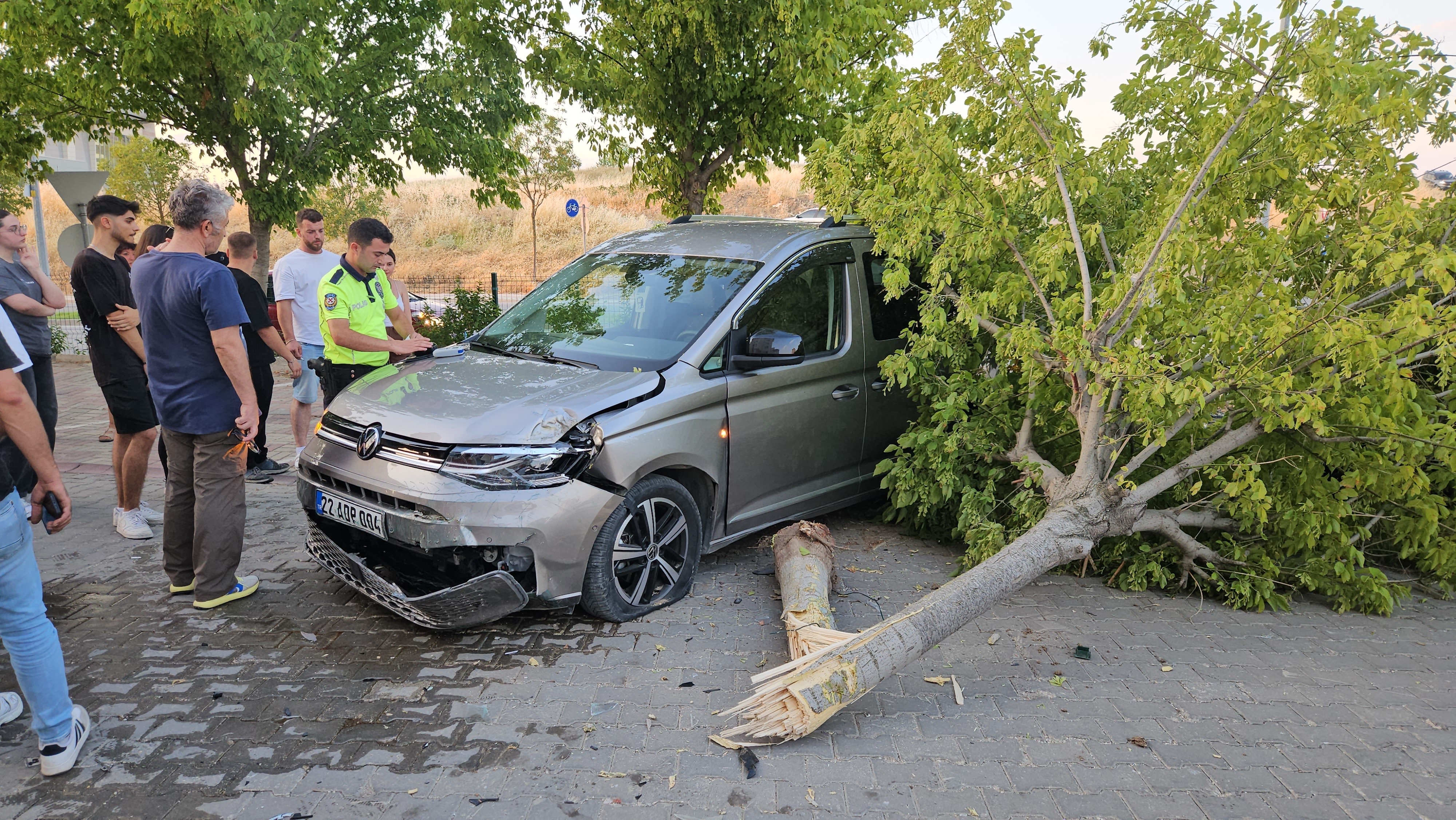 Edirne'de seyir halindeki ticari araç site bahçesine girdi