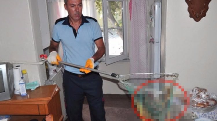 Edirne'de yemek için mutfağa giren kadın şoka uğradı