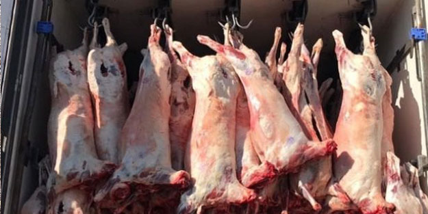 Edirne'de Yunanistan'dan getirilen 463 kilogram kaçak et ele geçirildi