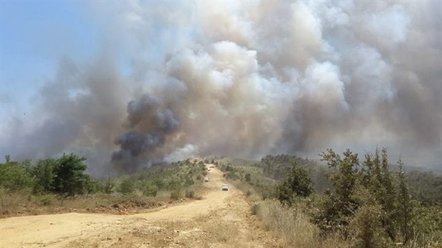 Edirne'deki yangın devam ediyor