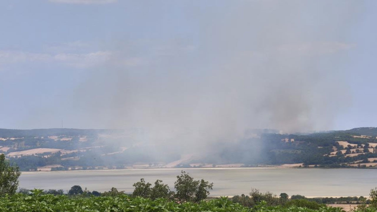 Edirne'deki yangın kontrol altında