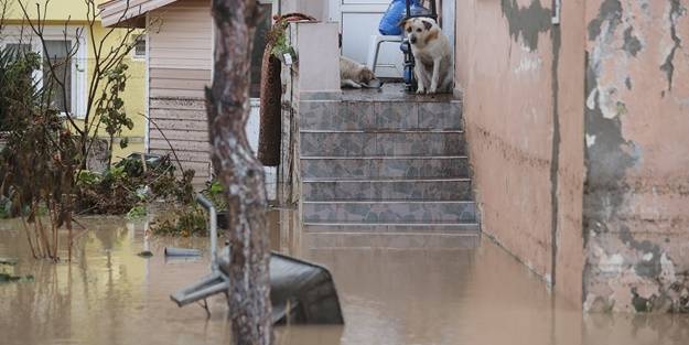 Edirne'yi şiddetli yağış vurdu!