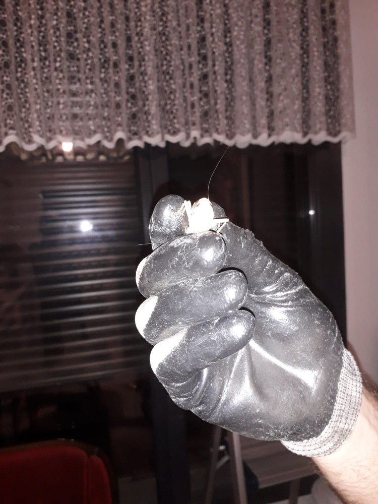 Edremit’te çekirge paniği 