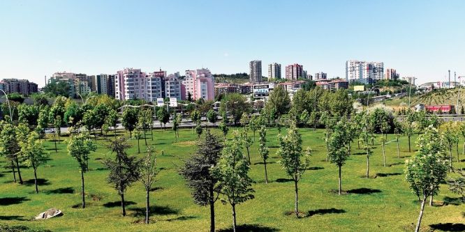 Başkent’te 150 bin ağaç toprakla buluşacak