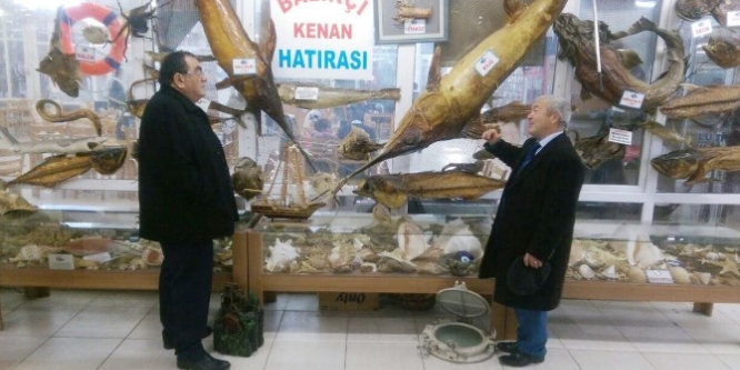 “Türkiye Deniz Canlıları Müzesi’ni Dünya bilmeli”