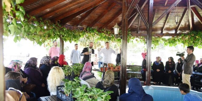 İzmit’te balkonlarda organik sebze yetişecek