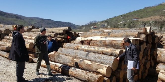 Orman ürünleri depoları denetlendi
