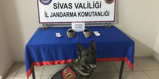 Ayakkabı tabanına gizlenmiş uyuşturucuyu narkotik köpeği buldu