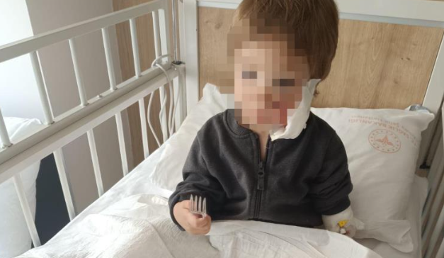 Efe Öztürk, pitbull saldırısından taburcu oldu: Fakat yüzündeki yaralar kalıcı olacak