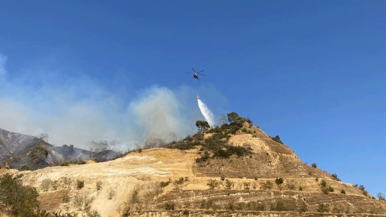 Efeler'de orman yangını: Ekipler olay yerinde
