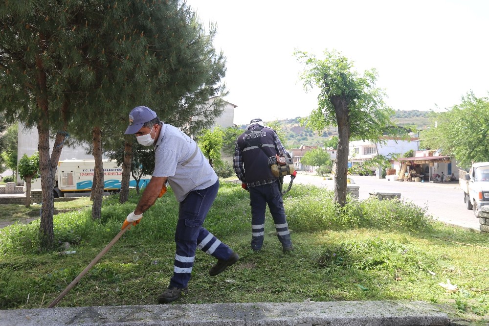 Efeler’de yeşil alanların bakımı devam ediyor 