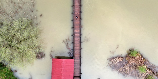 Efteni Kuş Cenneti Gölü havzası suya doydu