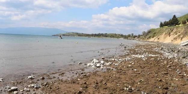 Ege Denizi'nde endişelendiren görüntü