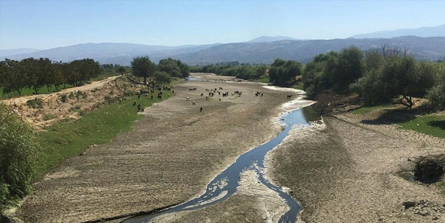 Ege'de, son 20 yılın en kurak sezonu! Yağış yüzde 82,3 azaldı