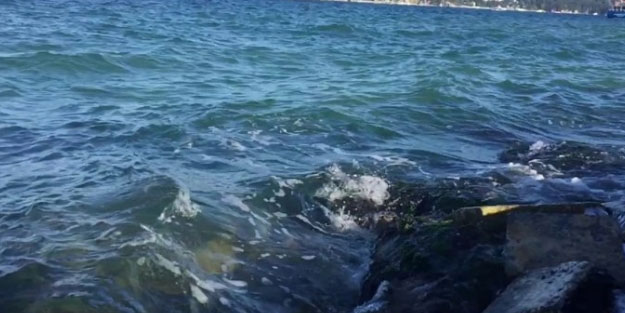 Ege'de göçmen faciası! Onlarca göçmeni taşıyan bot battı