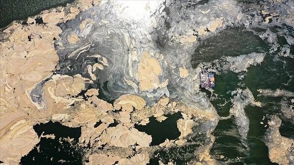 Ege'de müsilaj olur mu? Ege Denizi'nde müsilaj var mı?