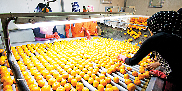 Egeli ihracatçılardan 4 koldan tanıtım atağı