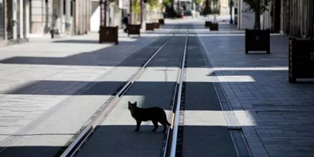 Eğer bu olursa sokağa çıkma yasağı haziran ayında tamamen kalkacak