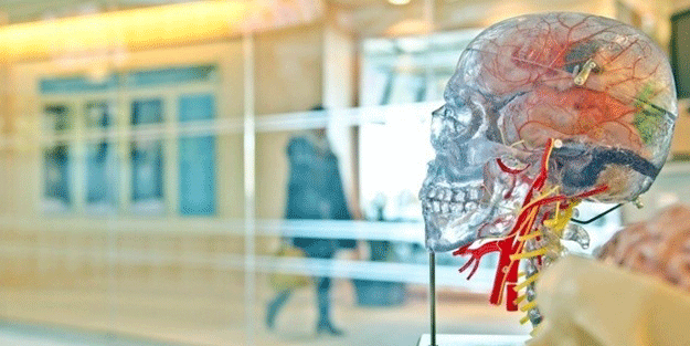 Eğer doğruysa büyük ses getirecek! İnsan vücudunda yepyeni bulgu