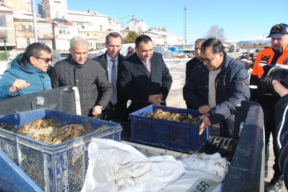 Eğirdir Gölü’nden kaçak avlanan bin 630 kilogram kerevit, törenle göle bırakıldı 