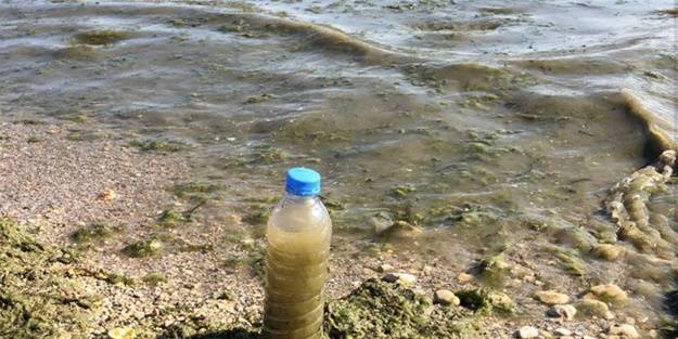 Eğirdir Gölü'ne lağım suyu karıştığı iddiası! İnceleme başlatıldı