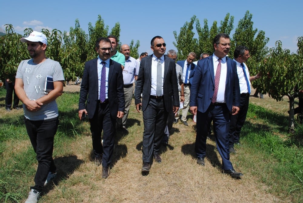 Eğirdir MAREM’de Şeftali Hasat Bayramı düzenlendi 