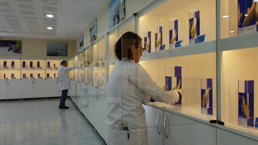 Eğirdir'deki balık müzesi yenilenen yüzüyle ziyaretçileri ağırlayacak