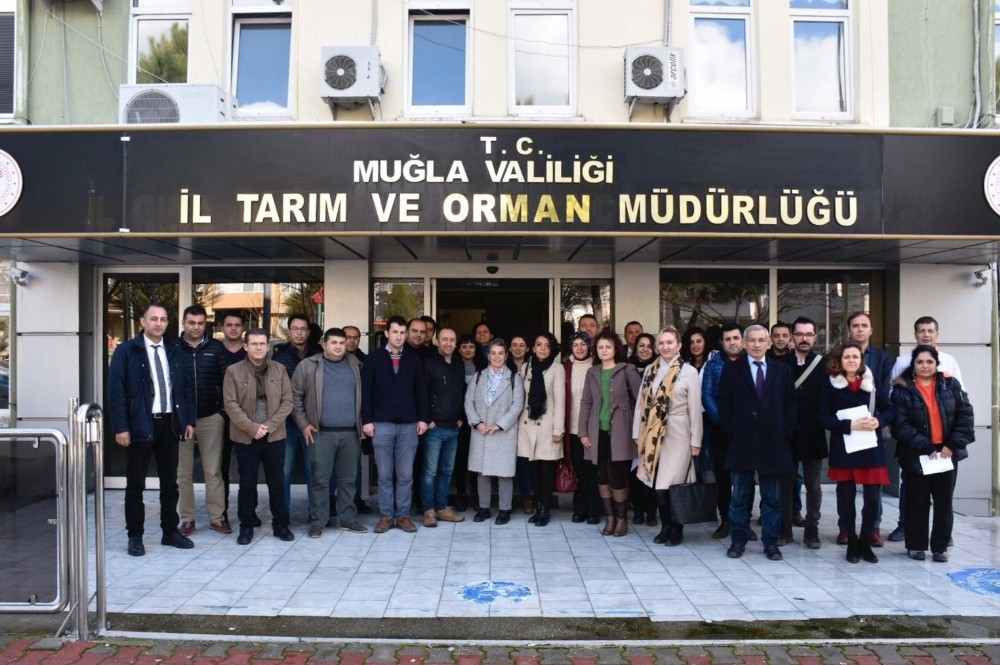 Eğiticilere ’zeytinde budama” eğitimi verildi 