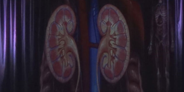 Eğitimde çığır açacak teknoloji!