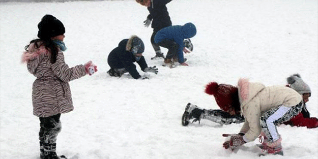 Eğitime kar engeli! Van'da okullar tatil edildi