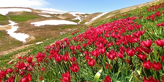 Eğrigöl’de doğa harikası görüntüler