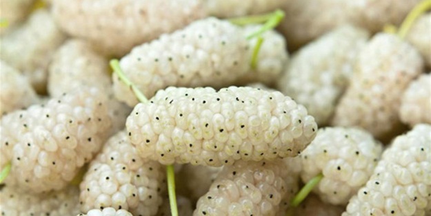 Egzama hastalığı olanlar dikkat