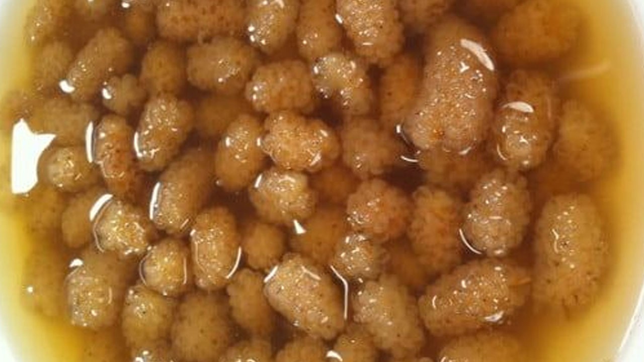 Egzamadan kurtaran en iyi doğal tedavi: asırlık yöntemleri bakın ne!