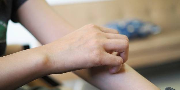 Egzamanın çözümü için ne gerekli?