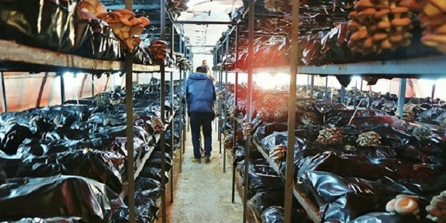 Ek iş olarak başladılar, şimdi tonlarca üretiyorlar!