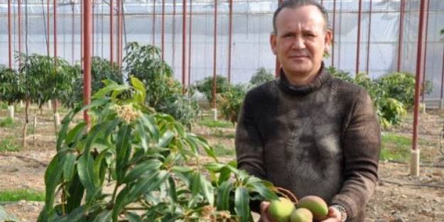 Ekeni zengin ediyor! Bahçede 40, markette 80 liradan satılıyor