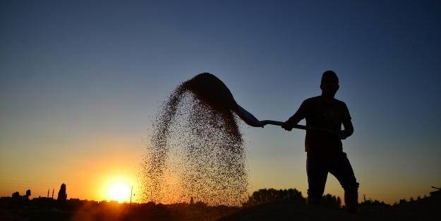 Ekilmeyen araziye hibe müjdesi