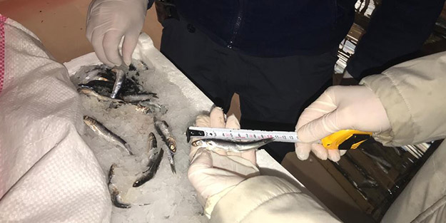 Ekipler denetime çıktı, 20 ton su ürününe el konuldu