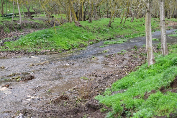 Ekipler dereyi böyle temizledi