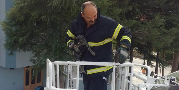 Ekipler görme engelli kedi için seferber oldu