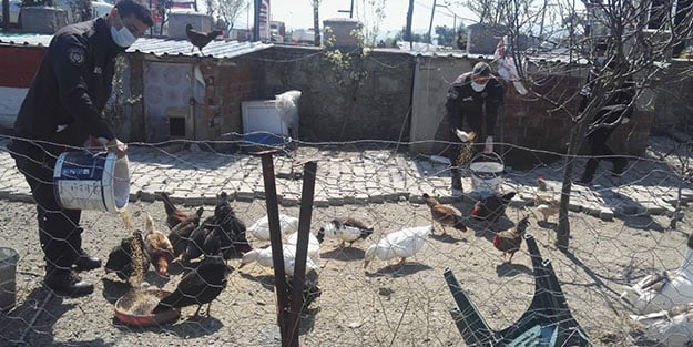 Ekipler imdadına koştu! 112’yi arayıp tavukları için yem istedi