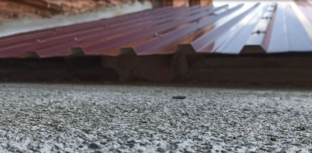 Ekipler mahsur kalan kedi için seferber oldu 