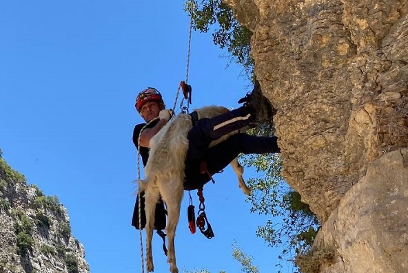 Ekipler seferber oldu! 5 gün sonunda kurtarıldı