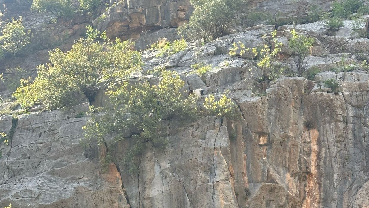 Ekipler seferber oldu! Tam 4 saatte kurtardılar