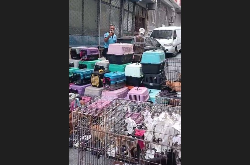 Ekipleri içeri girince fark etti! Sözde hayvanseverin maskesi düştü