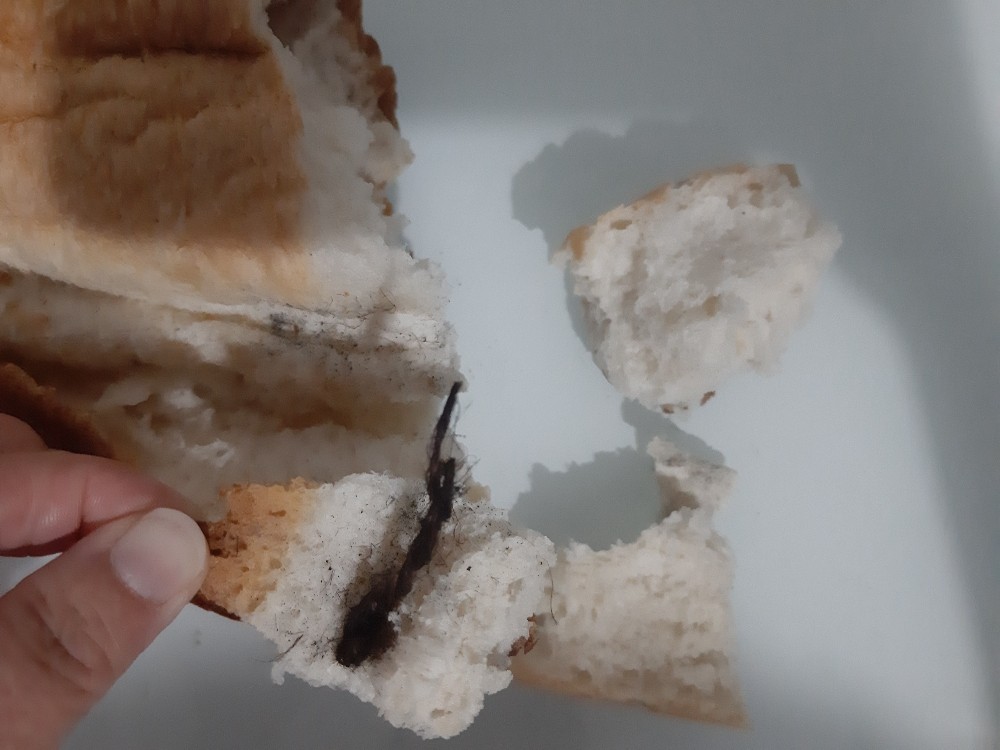 Ekmeğin içinden çıkanlar mide bulandırdı 