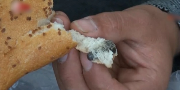 Ekmeğin içinden çıkanlar şok etti!